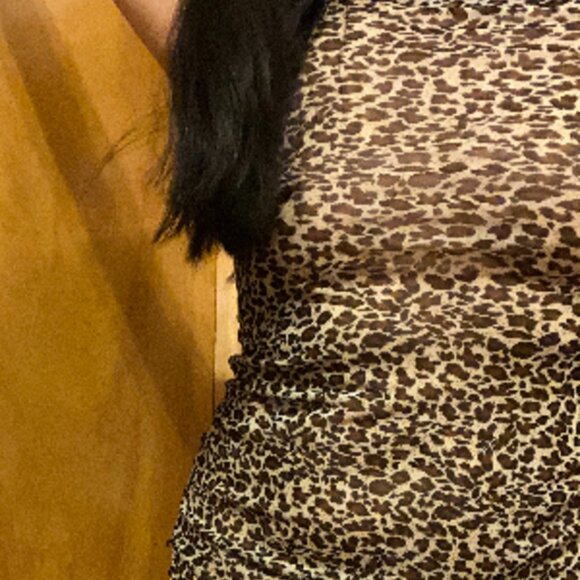 Leopard Slip Dress See Through NWOT - Picture 1 of 2